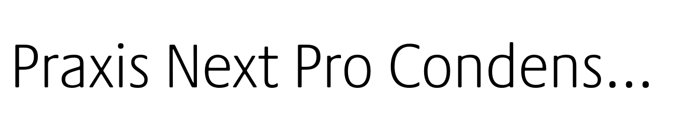Praxis Next Pro Condensed Light